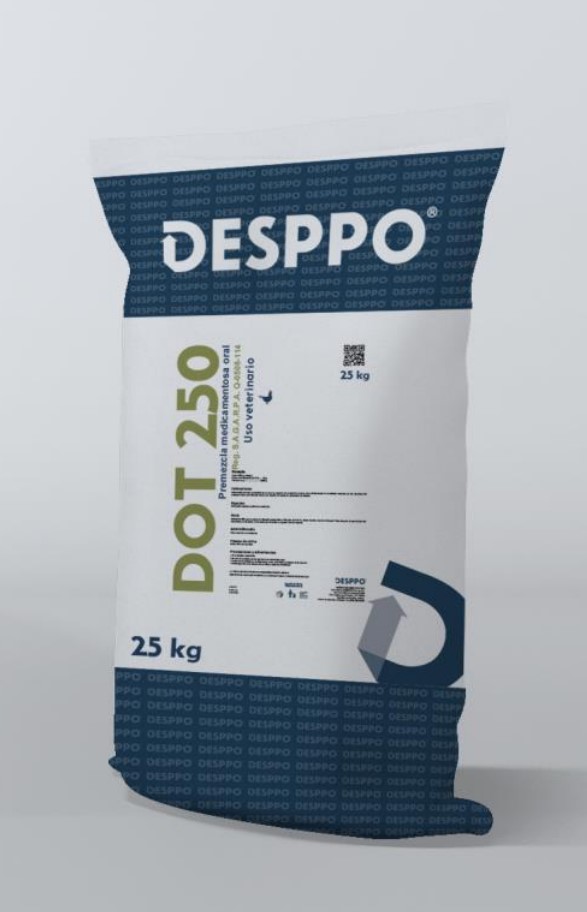 dot-2505e4