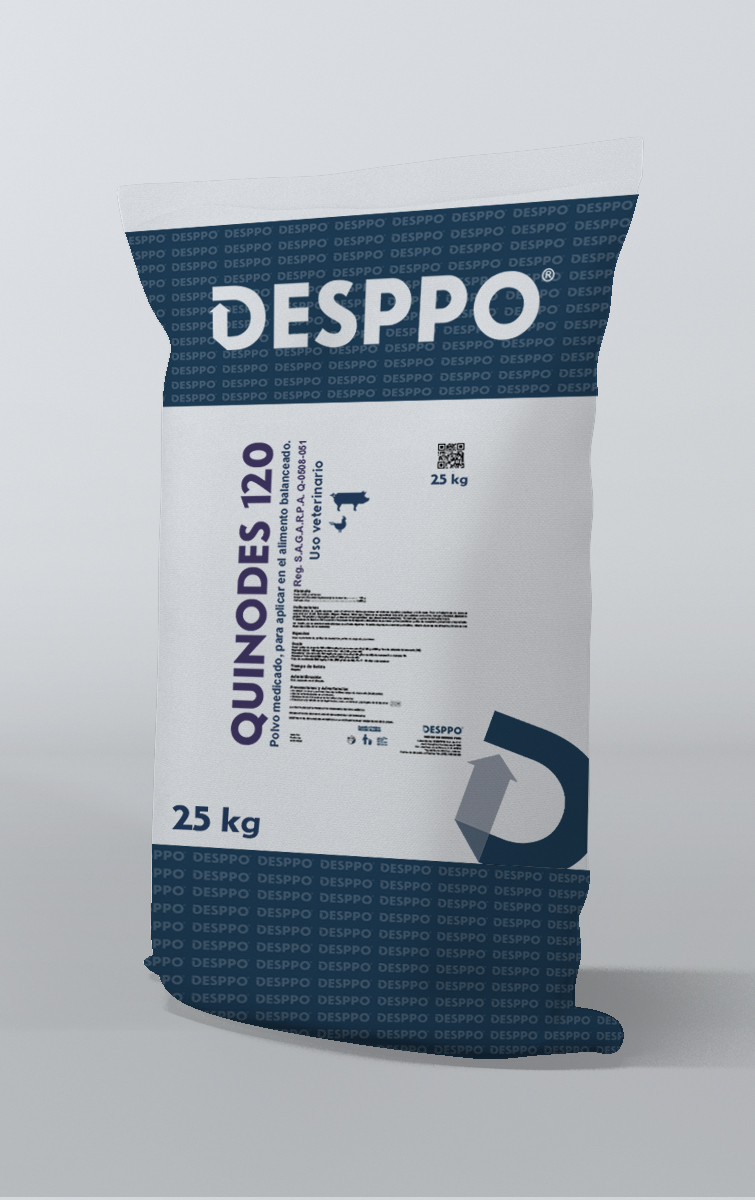 quinodes-1205e4